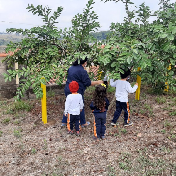 Educação Infantil – Semana do Meio Ambiente.