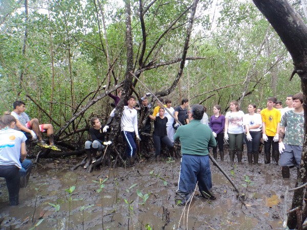 Curso Biologia Marinha