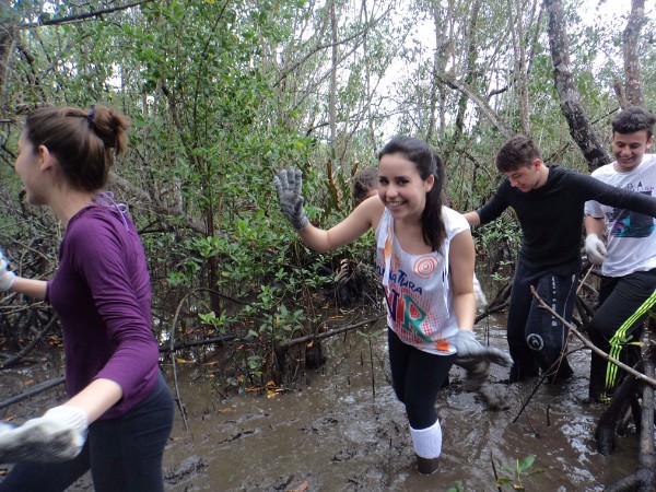 Curso Biologia Marinha